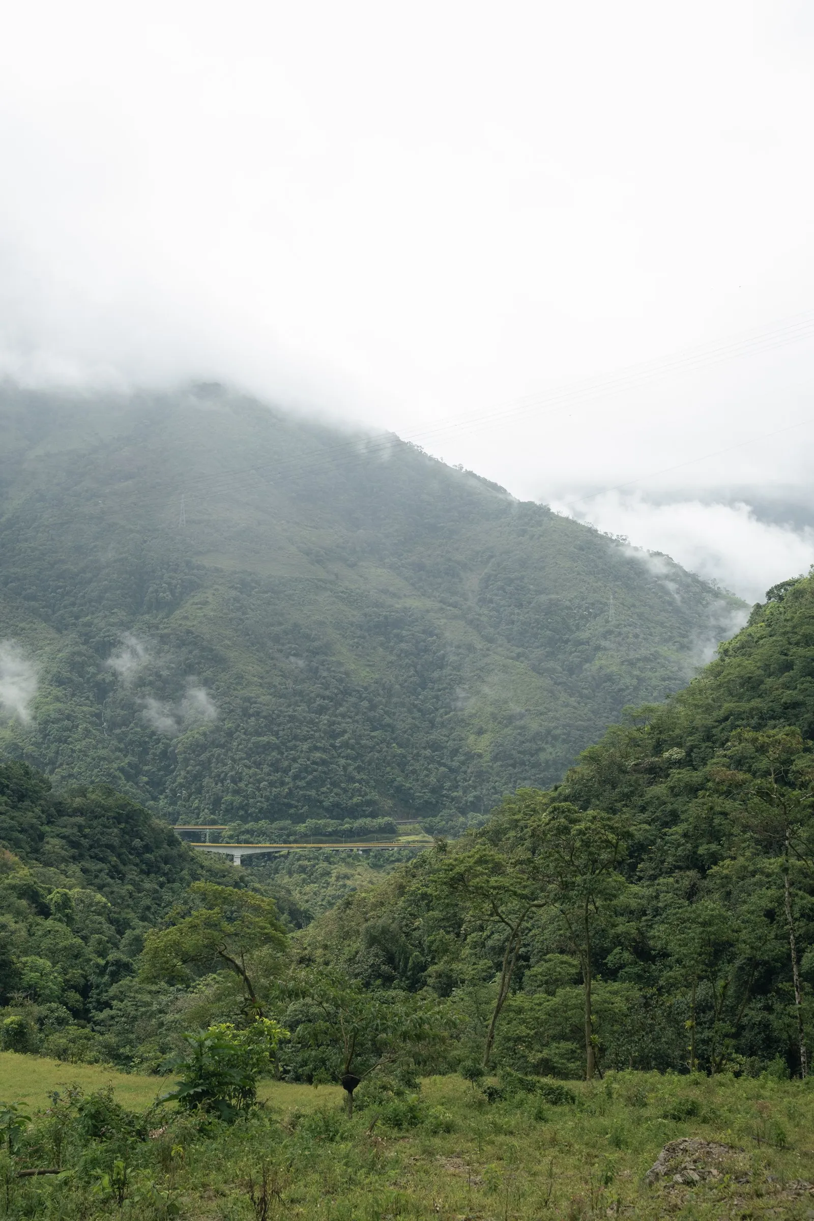 Montaña entre la niebla